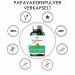 Premium Vegan Papaya Powder Capsules | 60 HPMC Capsules | High Papain Content | Additive-Free Gluten-Free & Lactose-Free | Laboratory Tested | Vegaddict  - Buy Online on GoSupps.com