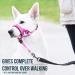 Goodboy Dog Halver with Service Belt - No-Pull Padded Halter for Small Medium & Large Dogs - Training Instructions Included - Pink (Pack of 1) - Buy Online on GoSupps.com