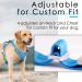 Buy Thinkpet Anti Zug Dog Harness - Adjustable Breathable Reflective with Handle (Medium Blue) - No Choke Design for Easy Control - 1 Pack - Buy Online on GoSupps.com