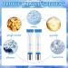 Scalphy Lot de 2 ampoules de s rum bille Scalp S rum 20 ml Essences pour croissance des cheveux garder le cuir chevelu propre am liorer la brillance - Buy Online on GoSupps.com