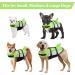 Alagirls Ripstop Shark Dog Life Jacket - Adjustable High Buoyancy Flotation Vest for Small Dogs (XS 33-43cm) - Pet Rescue Coat in Green/Gray - Buy Online on GoSupps.com
