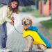 Buy Waterproof Rain Jacket for Dogs | Adjustable Reflective Dog Coat | Ultra-Light Rain Cape for Small Medium & Large Pets - Yellow & Blue - Buy Online on GoSupps.com