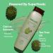 Natora.li Dandruff Defence Shampoo - Tea Tree Oil & Cactus Extracts | Paraben & Sulphate Free | Anti-Dandruff Solution | 12.51 Fl Oz (370ml - Buy Online on GoSupps.com