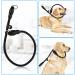 Adjustable Slip Collar Dog Training Choke Collar in Black - Suitable for Small, Medium, Large Dogs | Round Climbing Rope Material for No Pull Walking - Buy Online on GoSupps.com