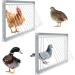Junniu 11.8in Pigeon Entrance Door One Way Trap for Birdcages - Bird Breeding Supplies & Racing Supply - Buy Online on GoSupps.com