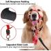 Barkeless Halter for Large Dogs - Anti-Pull Dog Training Harness with Soft Handlebars & Expert Instructions (XL Red) - Buy Online on GoSupps.com