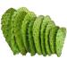 3 kg of fresh scoops for cooking edible nopal O ficus