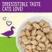 Stella & Chewy's Freeze-Dried Raw Cat Dinner Morsels - Chick Chick Chicken + Duck Duck Goose Recipe - 36 oz Bundle - Buy Online on GoSupps.com