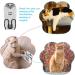 PopetPop Katzenbody f r Katzen und Hunde Bequeme Anti-L sch-Bekleidung aus Baumwolle nach der Entw hnung f r Bauchwunden & Hauterkrankungen - Buy Online on GoSupps.com