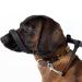 Dog Head Collar All in one Headcollar Lead No-Pull Head Collar for Dogs No Pull Training Tool for Dogs on Walks Adjustable Dog Lead 2m for Small Medium and Large Dogs