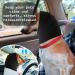 Amaxiu Dog Ear Warmers & Neckerchief | Cozy Black Earmuffs for Dogs | Comfortable Neck & Ear Cover for Pet Comfort (M) - Buy Online on GoSupps.com