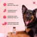 Natural Wolf Spring Dog Food Supplement for Adult Dogs | Skin, Coat & Joint Support | Digestive Health Multivitamin with Omega-3 | Plant Based Additive | 10oz (Pack of 24) - Buy Online on GoSupps.com