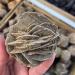 Natural Beautiful Quartz Desert Rose Crystal Selenite Raw Stones Specimens Rough Gem Stone Mineral Specimen - Buy Online on GoSupps.com