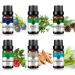 Essential Oils Set - Top 6 for Diffusers Candle Making Scents Fragrance Aromatherapy Gifts - Sandalwood Camphor Pine Needles Juniper Cypress Wintergreen (10mL) Woodland & Herbal