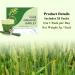 Naveta Barley Grass Powder 100% Pure & Organic 2023 New Naveta Pure Organic Barley Organic Barley Grass Powder Be Good for Health Easy to Use Easy to Carry (1Box) - Buy Online on GoSupps.com