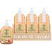  Le Petit Olivier LE PETIT OLIVIER - Pack of 12 - Pure Marseille Liquid Soap - Peach Blossom Fragrance from the Grasse Region - Gently cleanses the skin - 95% natural origin - Made in France - 300 ml - Buy Online on GoSupps.com