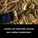 Buy Dark Blue Halter for Warmblood Thoroughbred & Coldblood Horses - 2-Way Adjustable Safe & Tear-Resistant - Perfect for Stable & Pasture Use - Buy Online on GoSupps.com