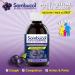 Sambucol Black Elderberry Anti-Viral Flu Care Syrup | Quickly Relieves Cold & Flu Symptoms | Immune Support & Antioxidant | Ideal for Families | 500 mL Anti-Viral Flu Care 500 ml (Pack of 1) - Buy Online on GoSupps.com