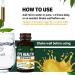 Eyebright Herb Eye Health Drops - Bilberry & Lutein Supplement for Eye Strain Relief | 2oz Liquid Extract - Buy Online on GoSupps.com