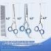 6.7 Inch Stainless Steel Dog Grooming Scissor Kit with Safety Round Tips - Pet Grooming Shears Set with Thinning & Curved Scissors for Hair Fur Care - Buy Online on GoSupps.com