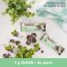 Quest Nutrition Bar Mint Chocolate Chunk 12 Bars - 720g | Delicious Snack with Mint Chocolate Flavor - Buy Online on GoSupps.com