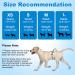 15 Pack XS Disposable Dog Diapers for Bitches & Males | Stretchy Waistband | Fits 22-40 cm Puppies | International Shipping - Buy Online on GoSupps.com