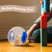 LuluDa Dwarf Hamster Ball 2 PCS Small Hamster Exercise Balls Running Wheel Cute Jogging Balls Toys Relieve Boredom Interactive Toys For Dwarf Hamster Small Pet(Blue and Orange) - Buy Online on GoSupps.com