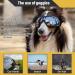 CATHERIS Dog Sunglasses Waterproof And Windproof Dog Goggles Anti-UV Sun Protection Dog Glasses Adjustable Elastic Fit For Large Medium And Small Dogs Black - Buy Online on GoSupps.com