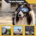 Zaleonline Dog Glasses - Waterproof & Windproof UV Protection Sunglasses for All Dogs - Adjustable Fit in Black - Buy Online on GoSupps.com