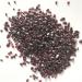 500g Natural Red Garnet Quartz Crystal Polished Stone Rock Gravel GemE04 Natural Stones and Minerals Stone Crystal Reiki