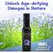 Activation Products Perfect Press Flax Seed Oil - Pure Flax Oil with Vegetarian Omega 3 Fatty Acids - Vegan 250ml Supplement for Heart Health and Digestive Support - Buy Online on GoSupps.com
