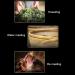 Da Hong Pao th Cannelle Doux Dahongpao th de Roche Moelleux pour th Oolong Grande Saveur Oolong Naturel - Buy Online on GoSupps.com