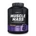 Biotechusa Muscle Mass |Protein & carbohydrate powder |With creatine and glutamine peptides |Gainer |Lactose -free |Micronized creatine |4 kg |Chocolate