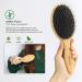 BESTOOL Boar Bristle Hair Brush Set - For Women, Men, Kids - Detangling, Softening, & Silky Shine - Regular & Small Sizes - Ideal for Thick, Fine, Curly Hair - Buy Online on GoSupps.com
