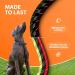 Premium Bungee Dog Leash for Large & Medium Dogs | Reflective Elastic Design with Jerk Dampers - Red - Buy Online on GoSupps.com