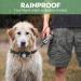 Patpet Dog Training Collar with Remote | 3 Training Modes - Beep, Vibration, Shock | Up to 1000 ft Range | Rainproof | for Small Medium Large Dogs - Light Grey - Buy Online on GoSupps.com