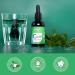 Liquid Chlorophyll Drops | High Dosage: 300 mg | Bottle 60 ml | Detox + Digestion | Natural Source: Alfalfa | No Flavors or Additives | Vegan | Vegavero  - Buy Online on GoSupps.com