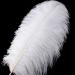 White Ostrich Feathers - 16-18 inch 10pcs for Vase Wedding Centerpieces - Home Decor - Buy Online on GoSupps.com