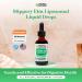 Organic Slippery Elm Liquid Extract - Vegan, Non-GMO, Alcohol-Free | Digestive & Immune Support | 2 oz (60mL) - Buy Online on GoSupps.com