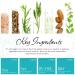 BOTANICAL RUSH Deep C Restore Oil - Natural Botanical Skincare - Buy Online on GoSupps.com