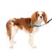Petsafe Easy Walk Deluxe harness tear-resistant running dishes for dogs padded design including 1.8 m leash small-ocean blue/black