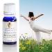 Gumleaf Essentials Revitalise Essential Oil Blend - 10ml Cruelty Free & Vegan 100% Pure & Natural