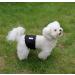 JoyDaog Reusable Belly Bands for Small Dogs - XS (7-9 Waist) Diapers - 3 Pack Black | Leak-Proof & Adjustable - Buy Online on GoSupps.com