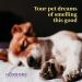 Harbor's Pet Cologne (Baby Powder) - Refreshing Scent for Your Pet - Buy Online on GoSupps.com