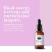 BIOCARE Nutrisorb Methyl Folguard 15 ML - Buy Online on GoSupps.com