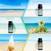 Salking Summer Essential Oils Set - 6x10ml 100% Pure Aromatherapy Fragrance Oils for Diffuser Humidifier & Massage - Coconut Pineapple Watermelon Marine Brizz Mojito Vanilla Ice Cream - Buy Online on GoSupps.com