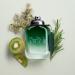 Coach Green Eau de Toilette - Long Lasting Fragrance with notes of Kiwi Rosemary Essence & Crystal Moss - Fruity & Green - 3.3 fl. oz. 3.3 Fl Oz - Buy Online on GoSupps.com