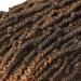 6 Packs Pre-Twisted Jump Twist Hair - 14 Inch Small Passion Twist Crochet Hair | Synthetic Bomb Twist Hair (T27) - Shop Now for International Shipping! - Buy Online on GoSupps.com