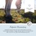 Annimally Hoof Balm for Horses - 500ml Hoof Care Ointment & Hardener | Durable Hoof Grease for Healthy Hooves & Growth - Buy Online on GoSupps.com