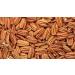 Farm Fresh Nuts Brand Whole Shelled Dry Roasted Georgia Pecans with Himalayan Salt - 1 lb. Pack - Vegan & Keto Friendly Southern Delight - Buy Online on GoSupps.com